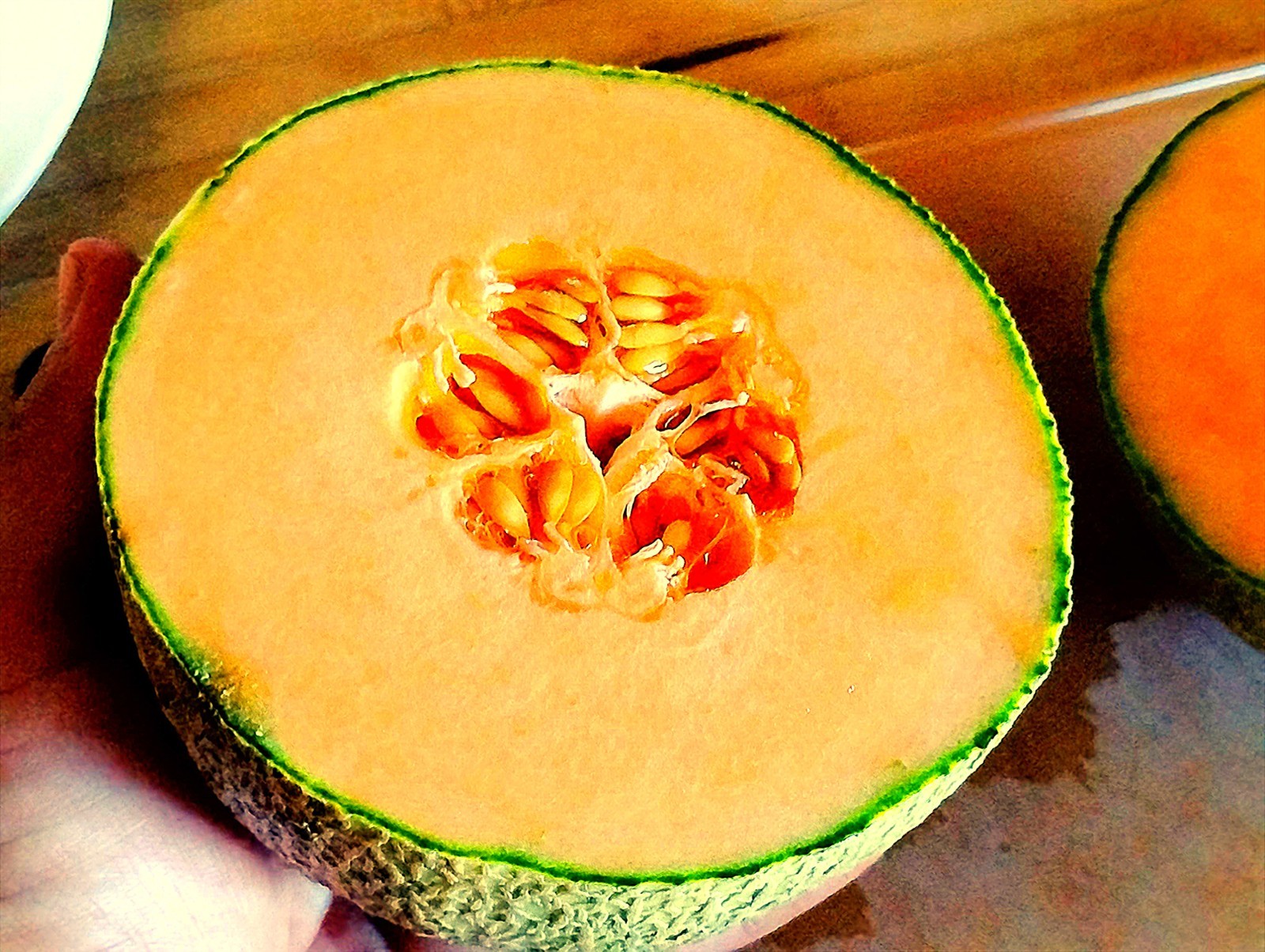 100 Ct. Great Lakes Compact Cantaloupe (Muskmelon) Seeds – MICHIGAN GROWN!