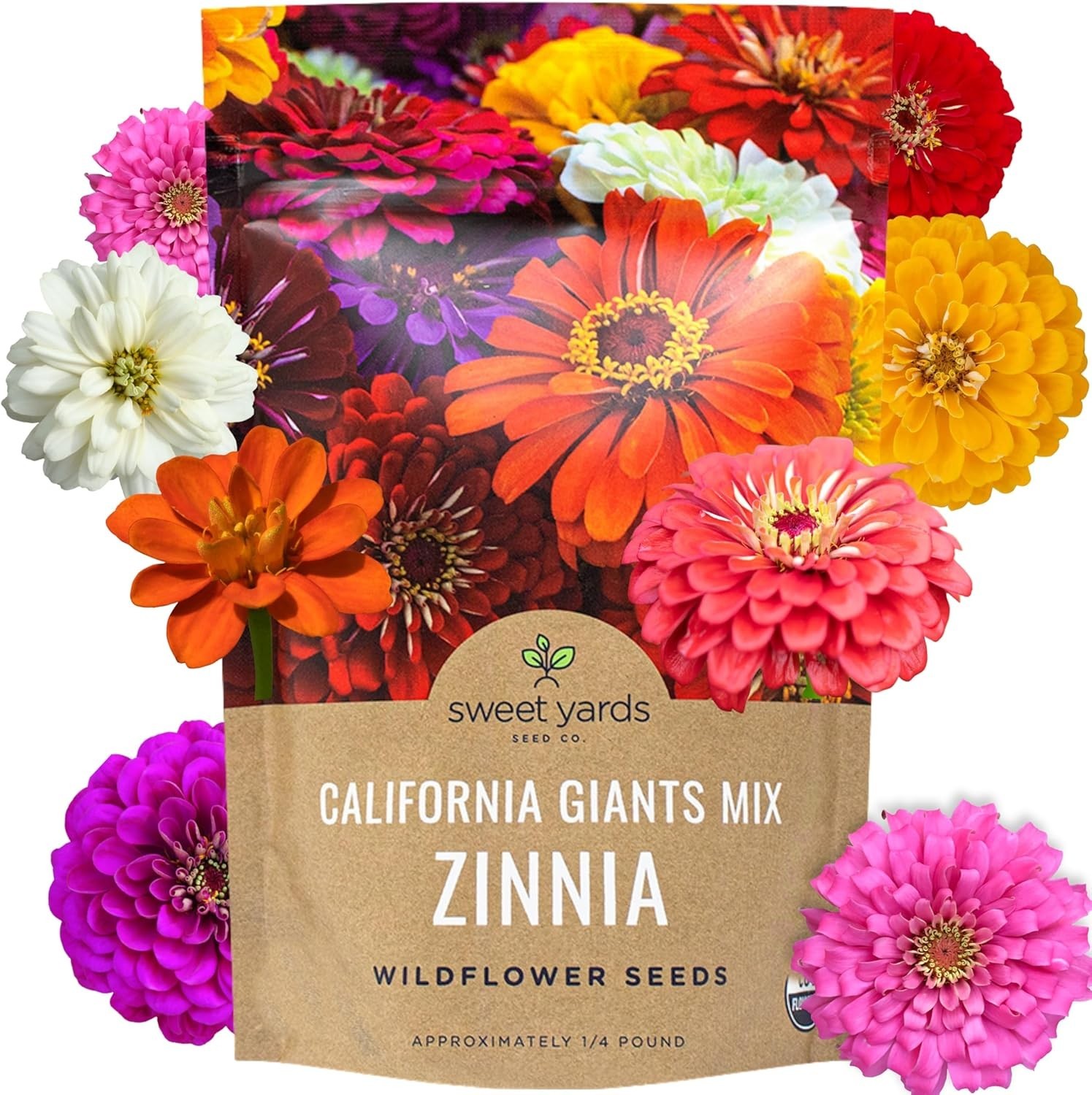 Bulk Zinnia Seeds – California Giants Mix – Bulk 1/4 Pound Bag Over 12,000 Fl…