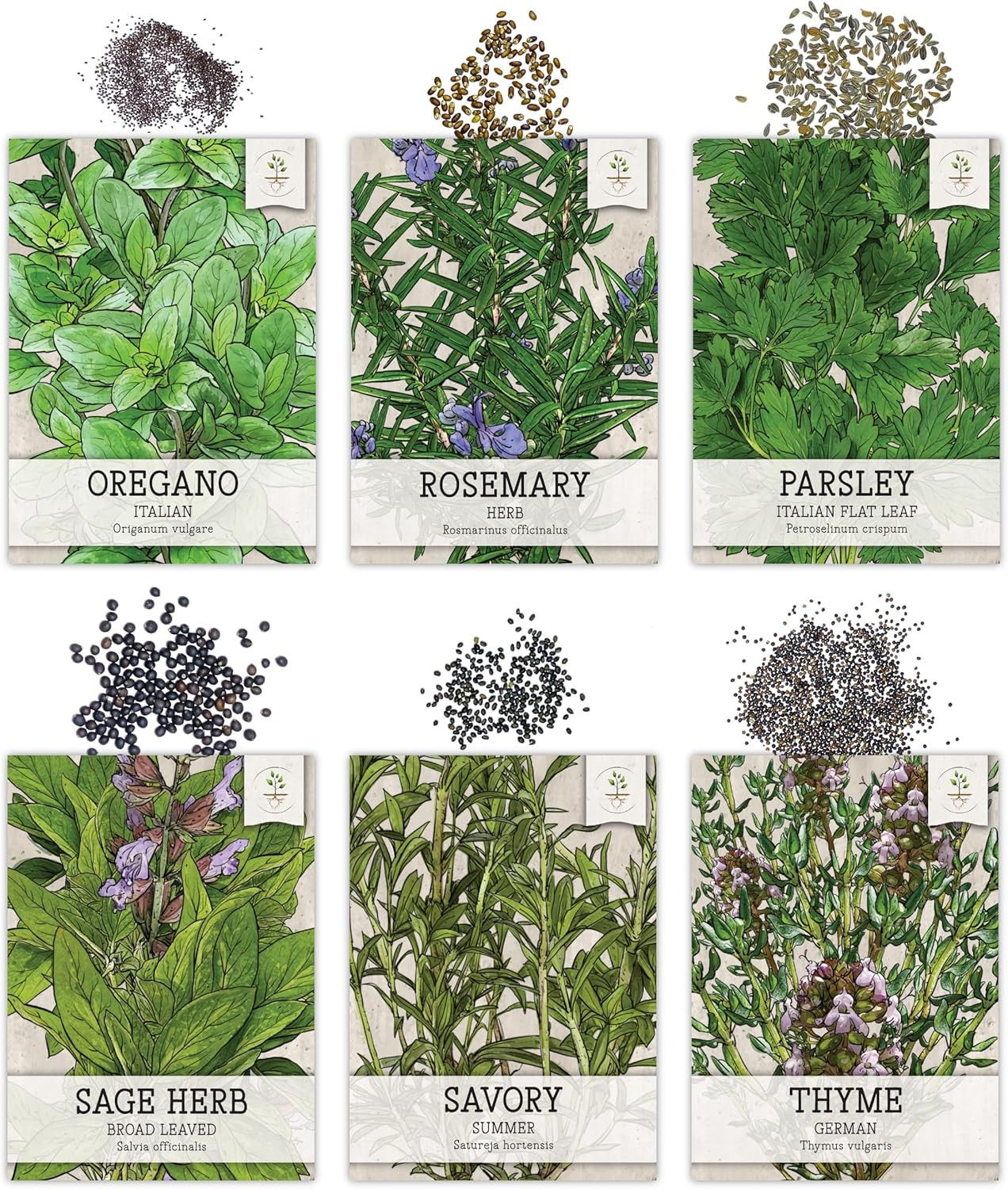 Herb Seeds Variety Pack Culinary Herb Collection (12 Individual Packets for Plan