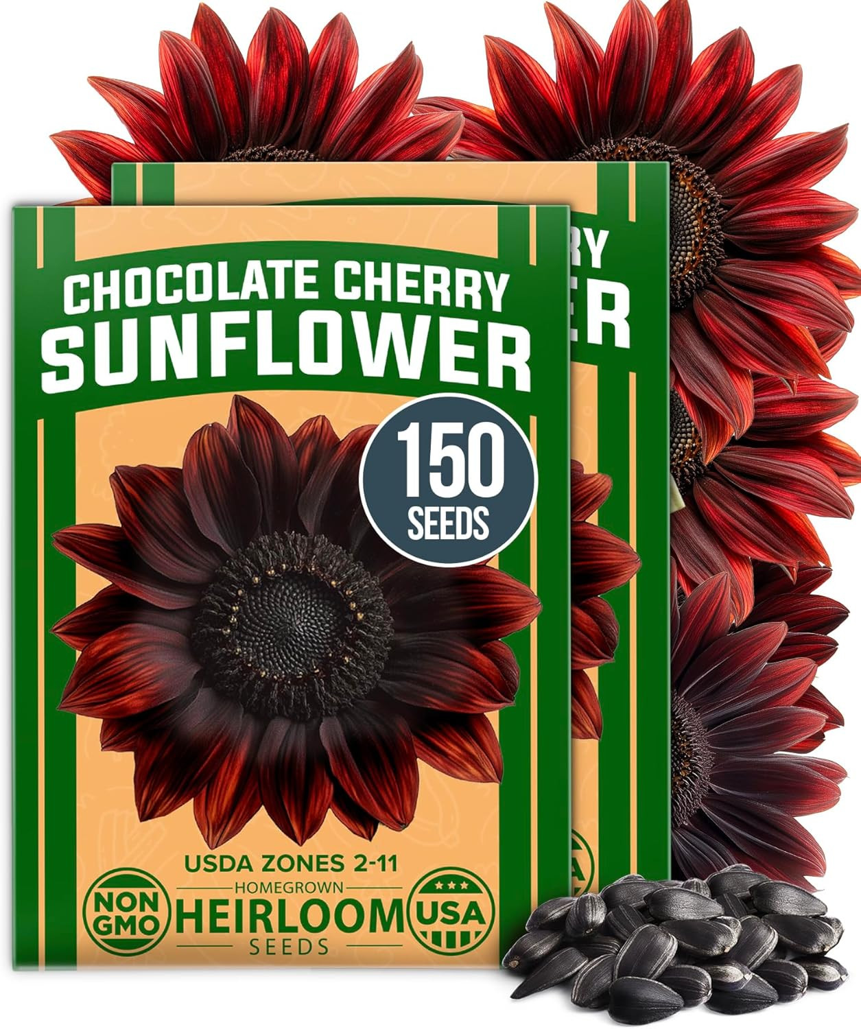 Chocolate Cherry Sunflower Seeds – 150 Heirloom Non-Gmo Seeds – Burgundy Sunflow