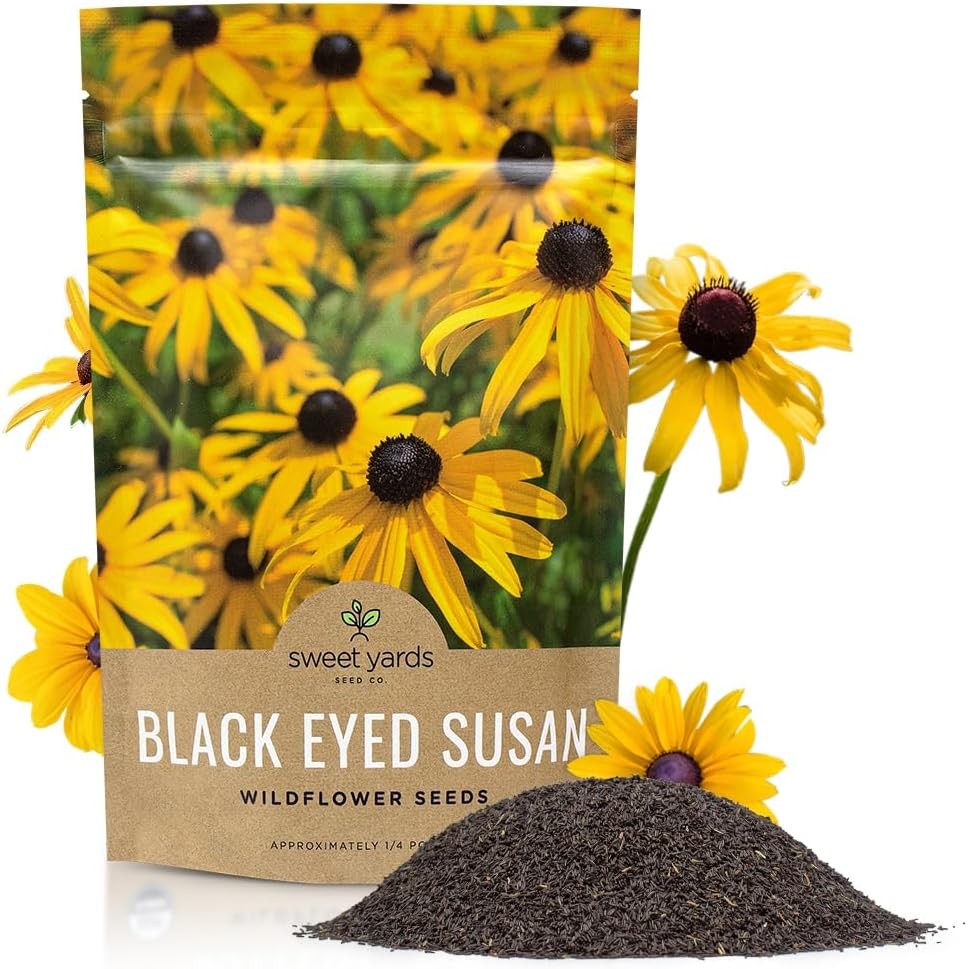 Black Eyed Susan Seeds – Bulk Quarter Pound Bag – Over 400000 Open Pollinated…