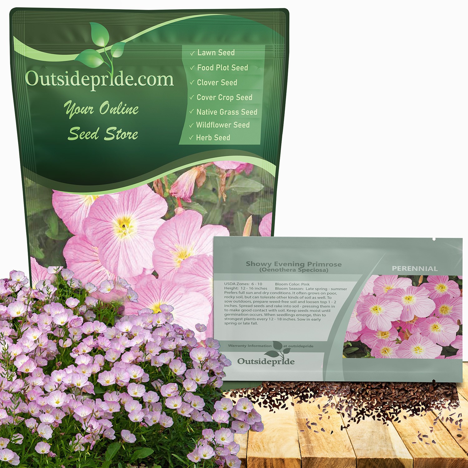 1 LB Pink Primrose Seeds For Planting – Showy Evening Primrose Flower Seed