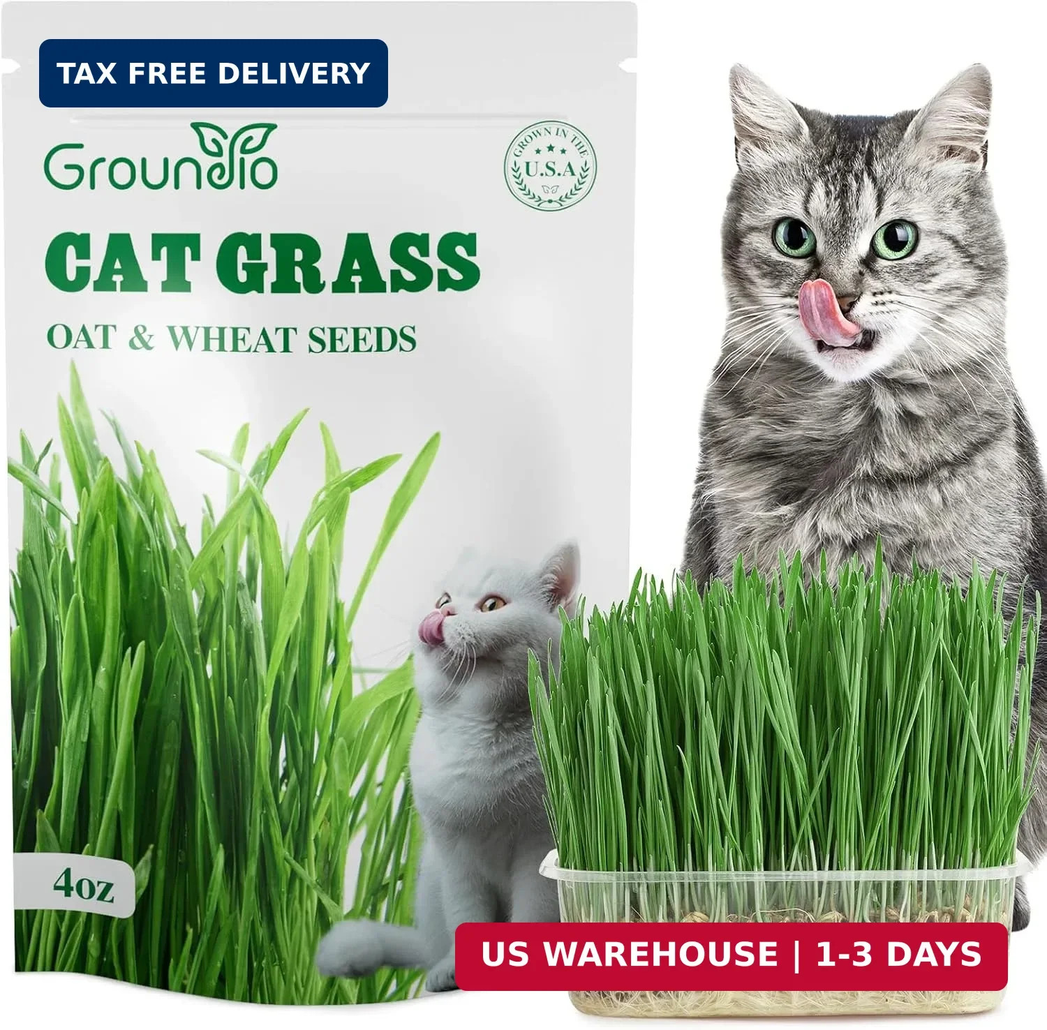 Groundio Cat Grass Seeds 4 OZ | Wheat & Oat Seeds Mix