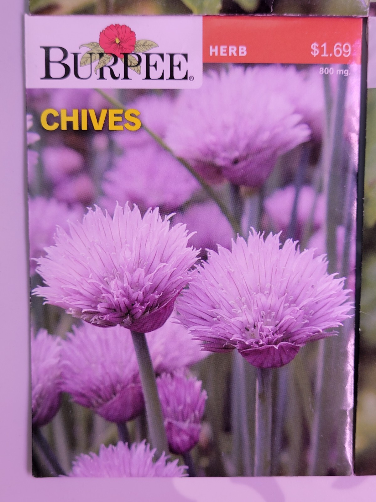 Burpee Herb Seed Assortment 1 (2021) New Sealed Inventory Guaranteed to Sprout