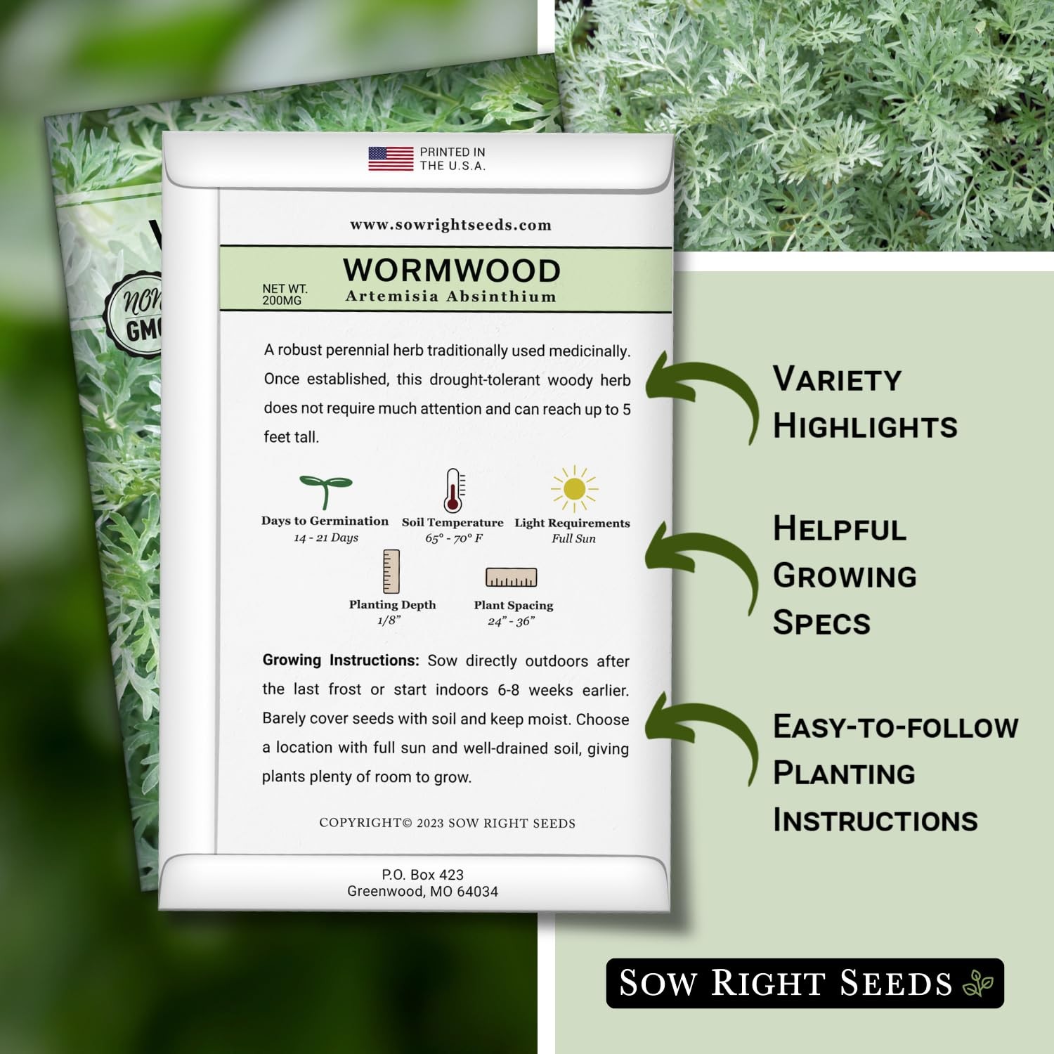 Wormwood Seeds for Planting – Non-GMO Heirloom Herb Garden Packet with