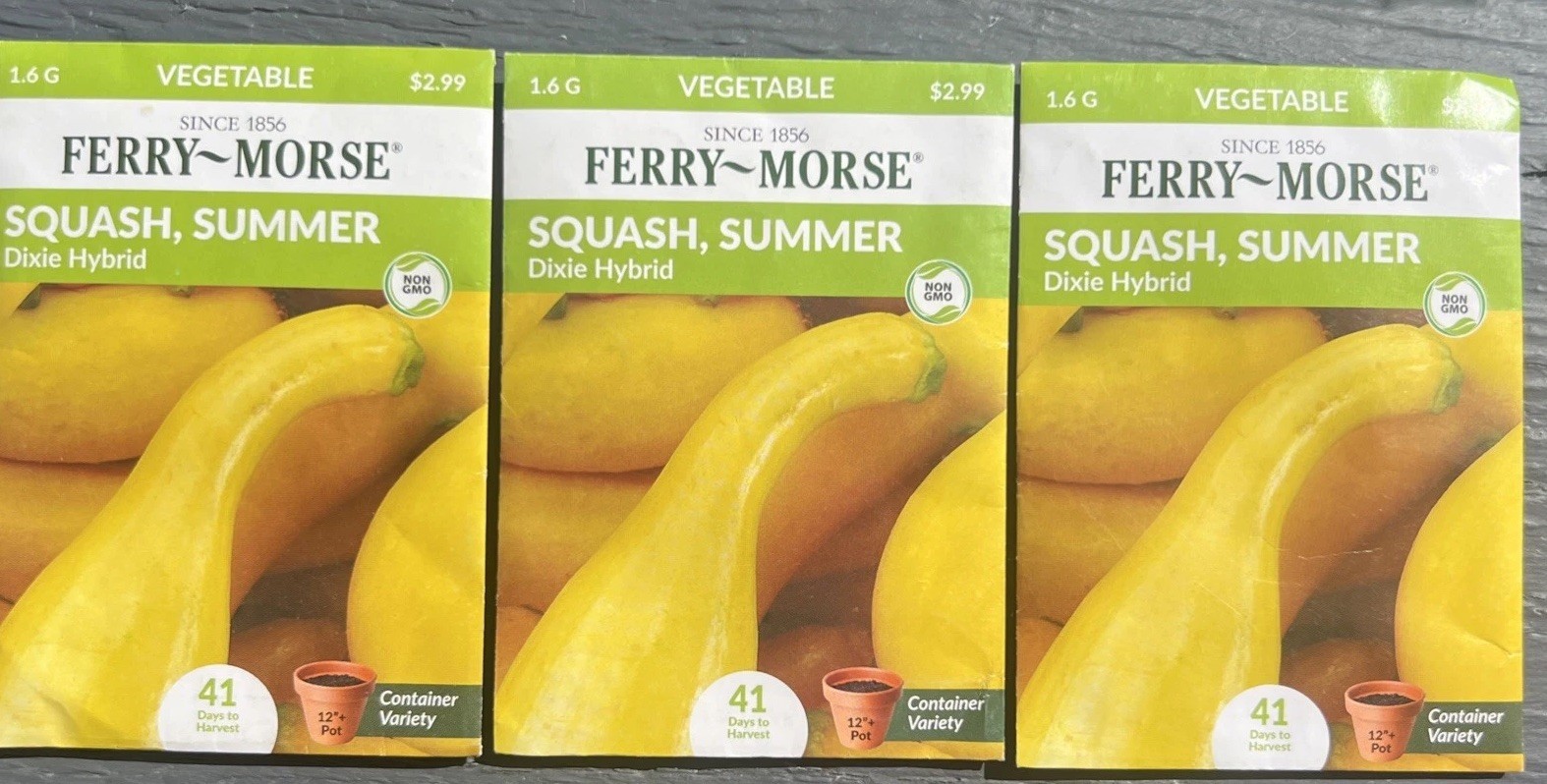 3 Organic Ferry Morse summer Yellow squash Dixie Hybrid Seeds Non GMO Container