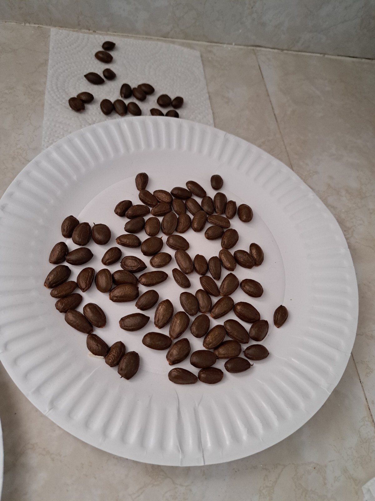 Cherimoya Exotic Fruit Tree 10 Seeds, HIGH In Iron Tastes Like a Pineapple/Pear!