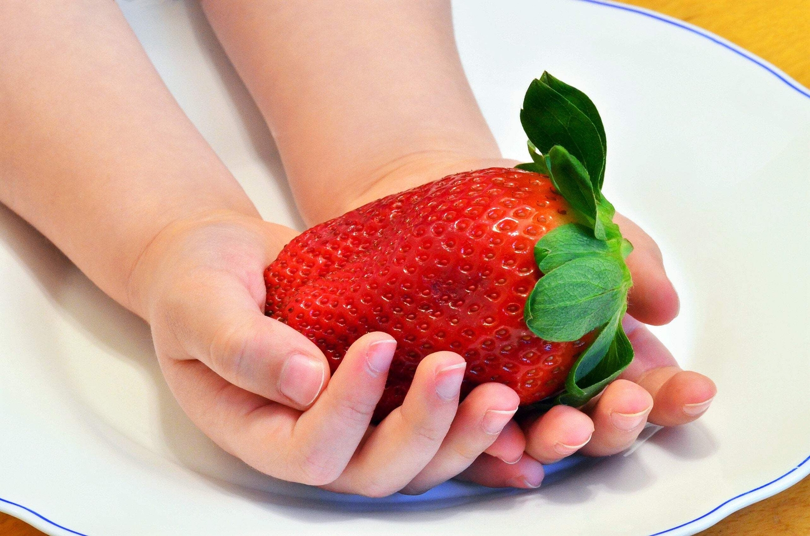 15 GIANT STRAWBERRY Fragaria JuneBearing Huge Red Berry Fruit White Flower Seeds