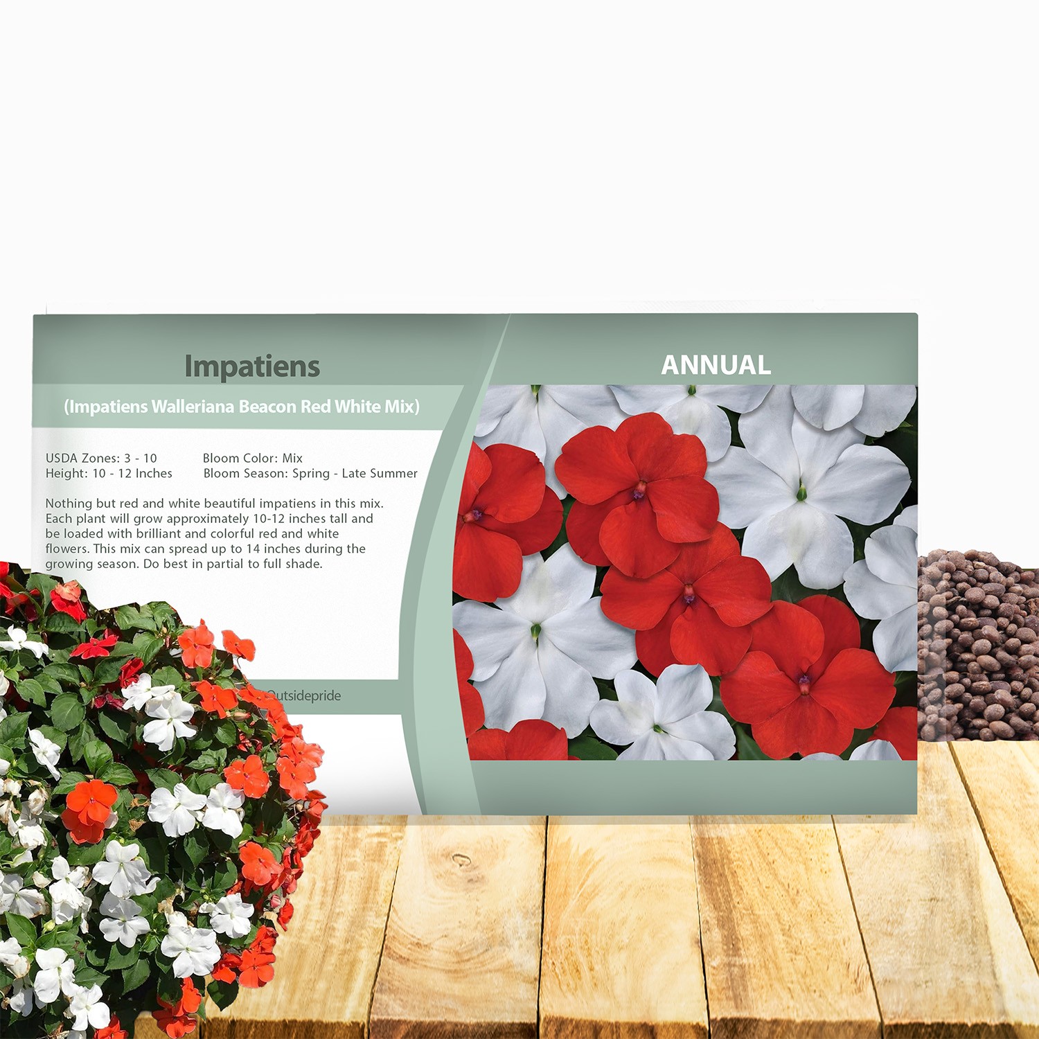 200 Seeds Red & White Impatiens Seed Mix