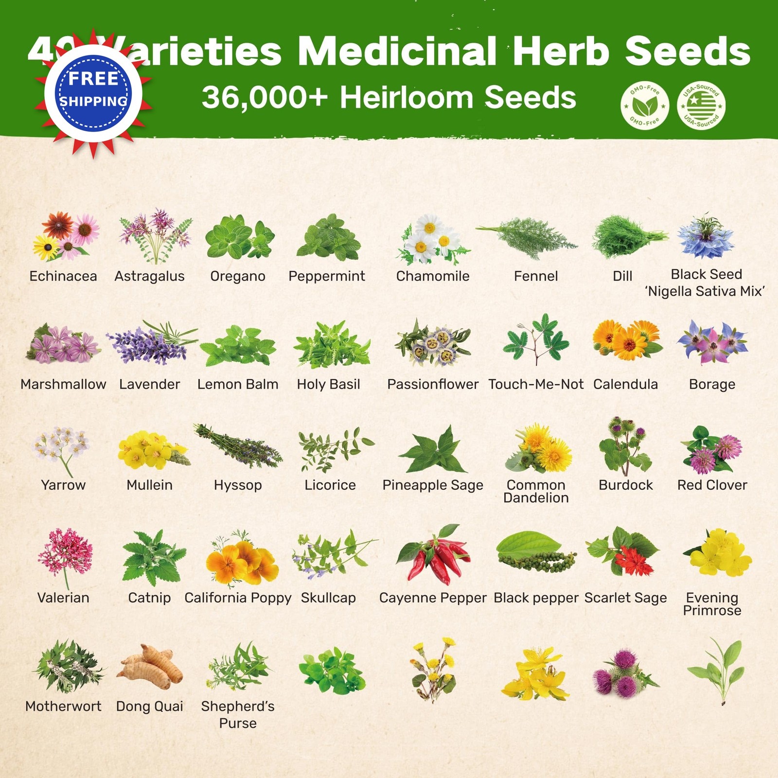 Medicinal Herb Seed Chest 36 000+ Non GMO Survival Kit Lush&Dew Ancestral Gifts