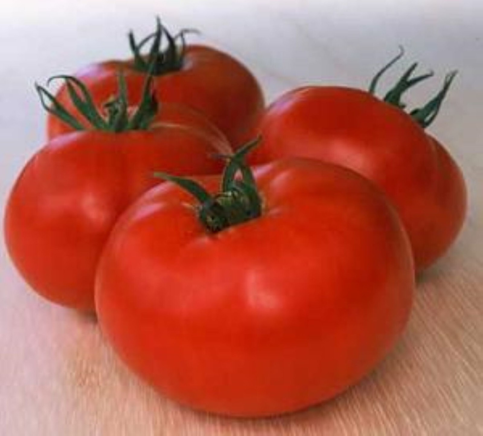 25 Bigger Girl Tomato Seeds