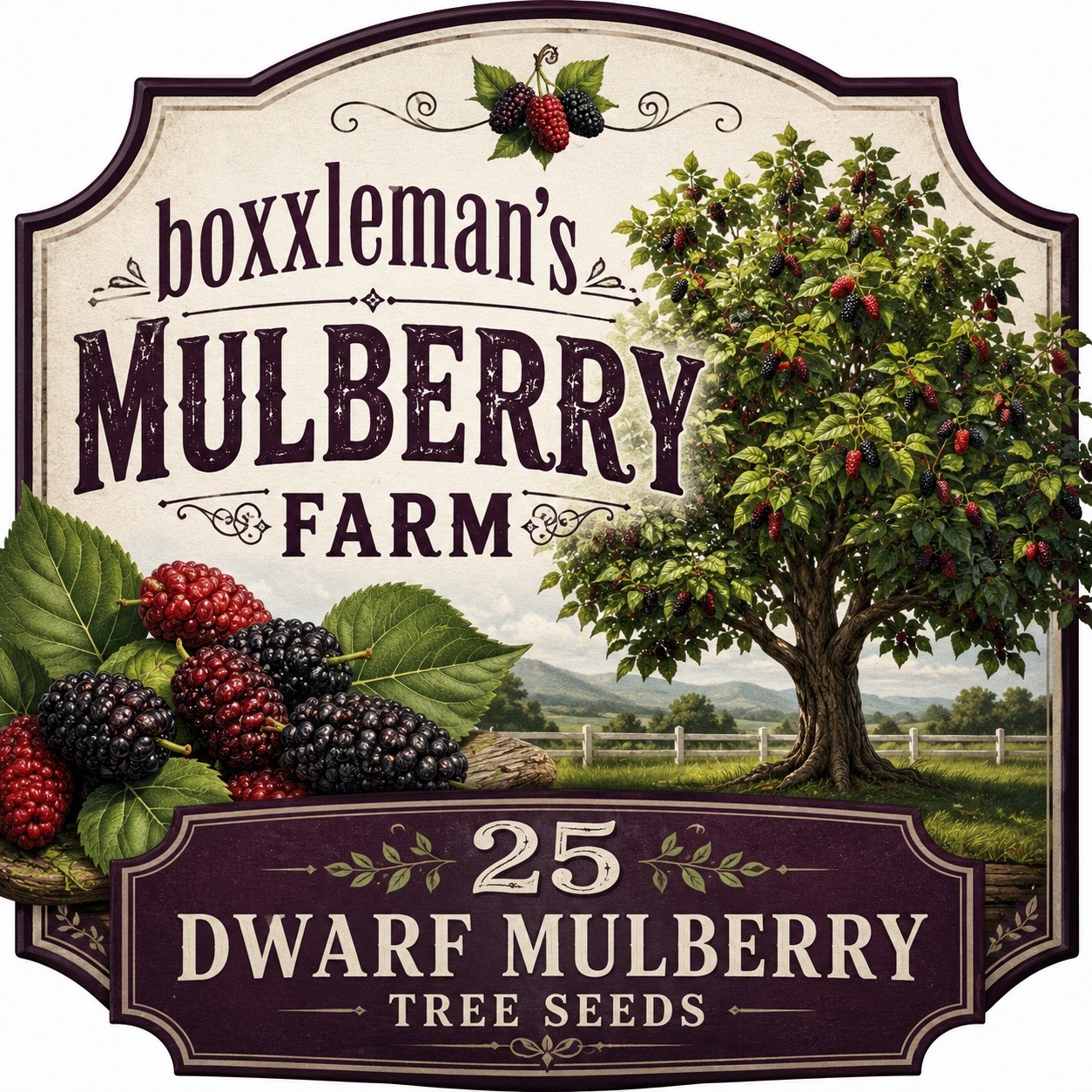 25 Dwarf Mulberry Tree Seeds – Produces excellent sweet tasting MULBERRIES! RARE