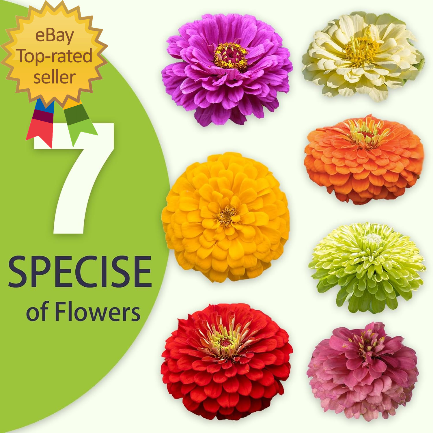 Zinnia Seeds Bulk 5000+ Outdoor Flower for Planting |Giant Zinnia Seeds for