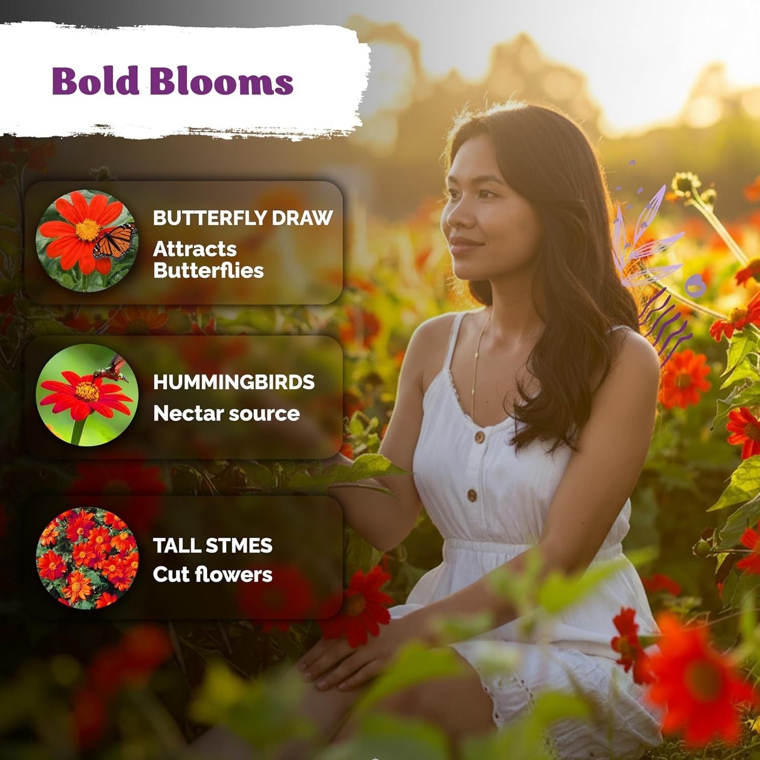 Low Maintenance 150 Count Mexican Sunflower Seeds – Full Sun, Bold Orange Blooms