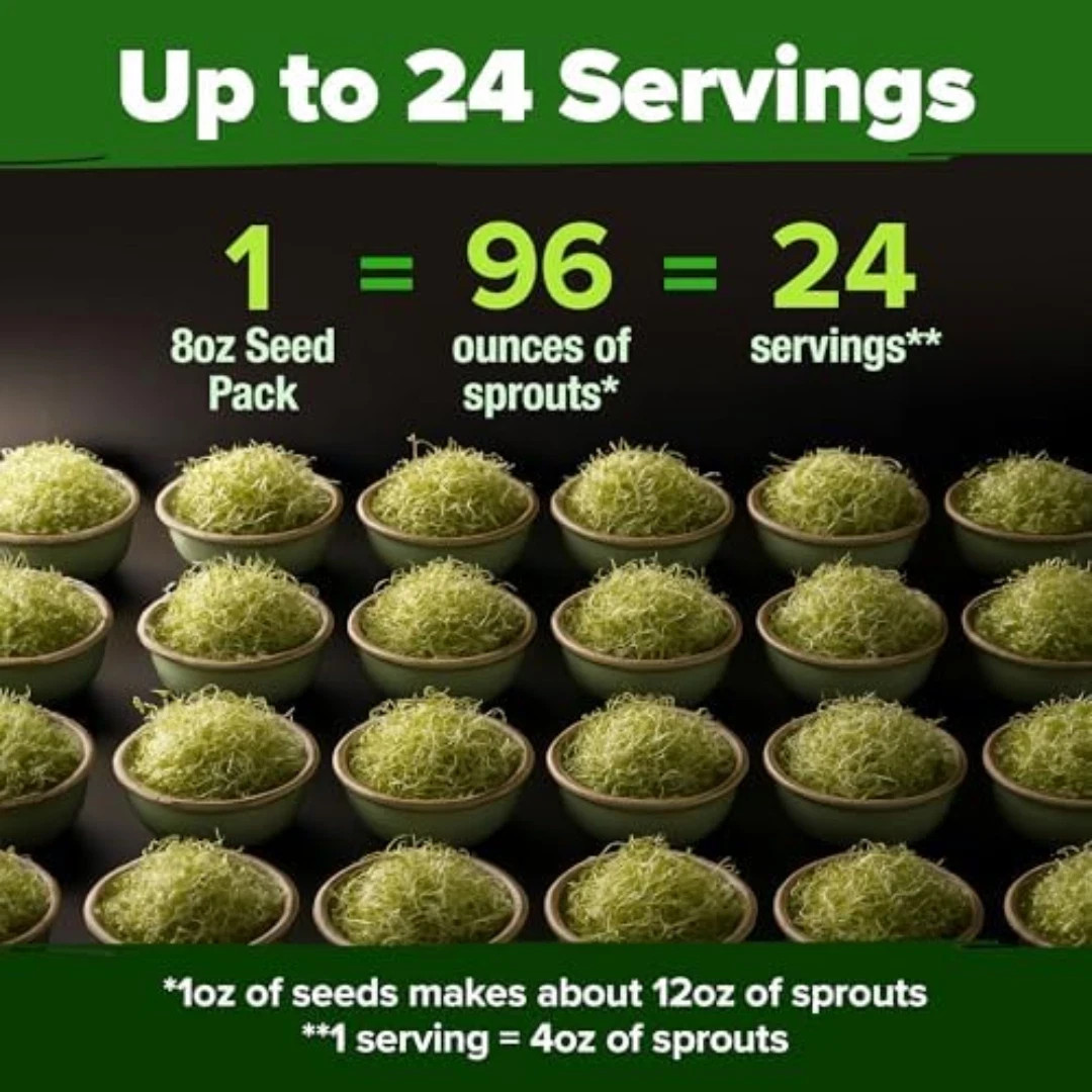 Broccoli Sprouting & Microgreens Seeds – 99,700 Non-GMO Heirloom