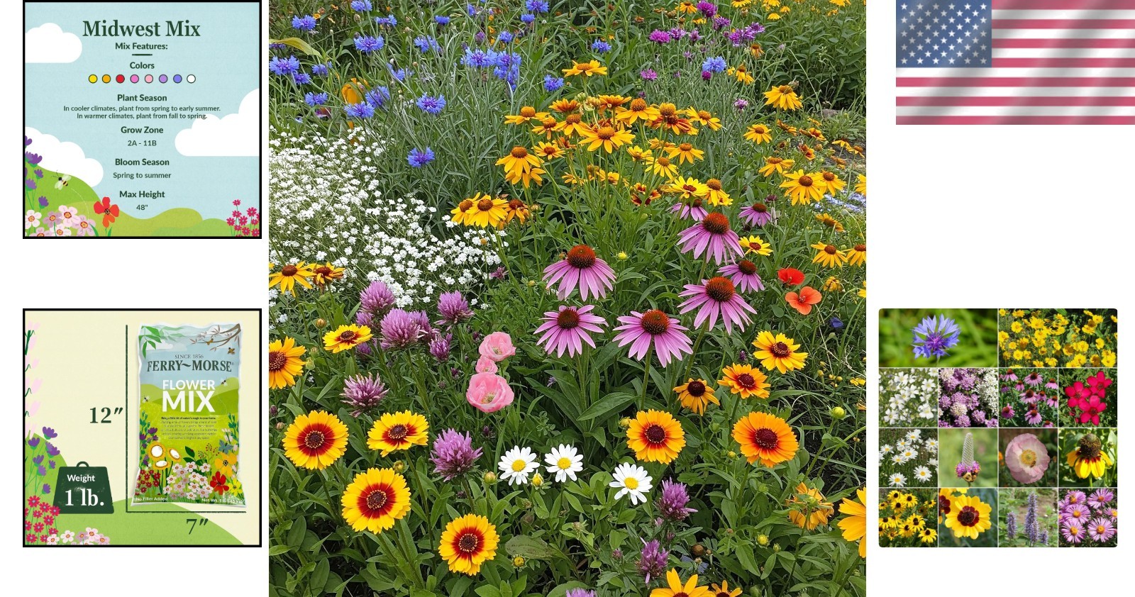 Non-GMO Wildflower Seed Blend, Midwest Gardens, 1 lb