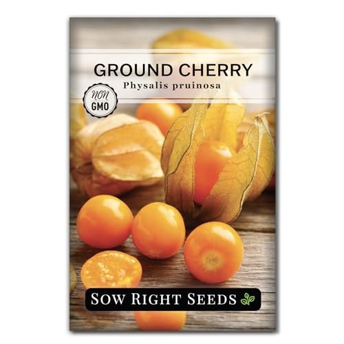 – Ground Cherries Seeds for Planting – Non-GMO Heirloom Packet with 1
