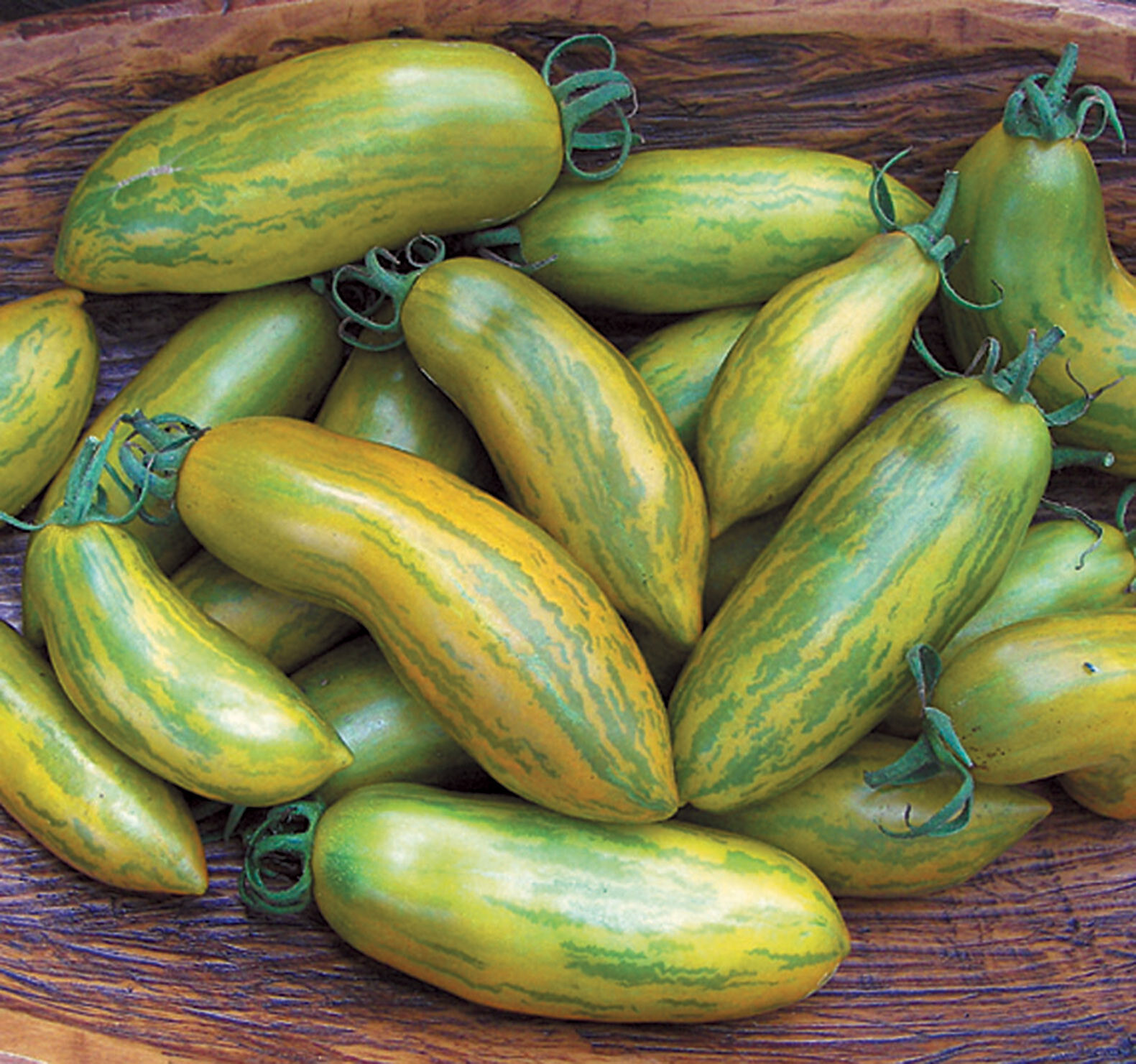 30 GREEN SAUSAGE TOMATO SEEDS ~ heirloomseedguy ~ 2026 ~ NON-GMO