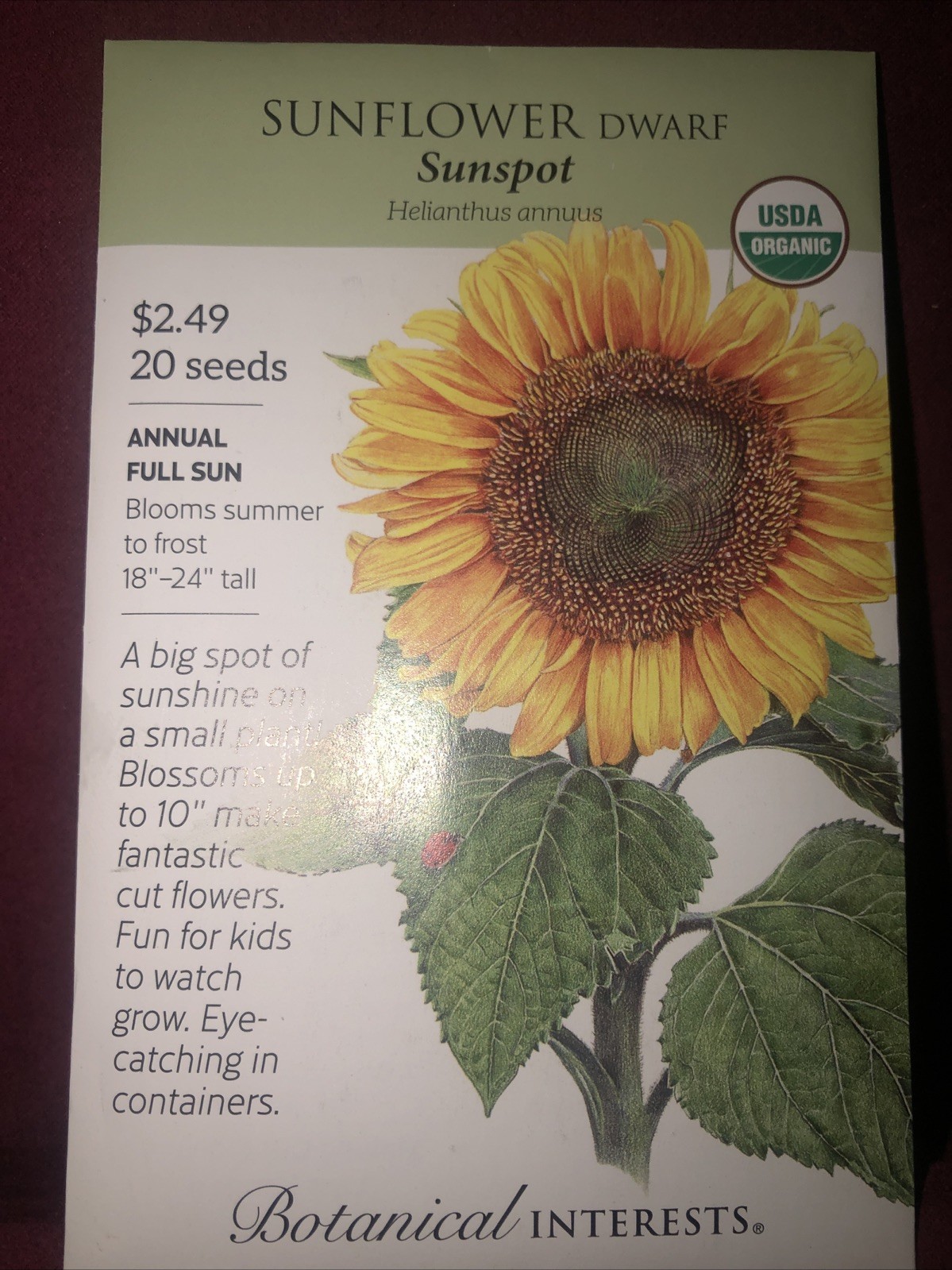 Sunflower Dwarf Sunspot Hybrid Heirloom Seeds Botanical Interests Exp. 12/2024