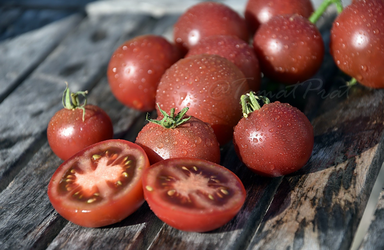 10 seeds Dwarf Velvet Night Tomato Purple cherry ORGANIC Rare Variety DTP