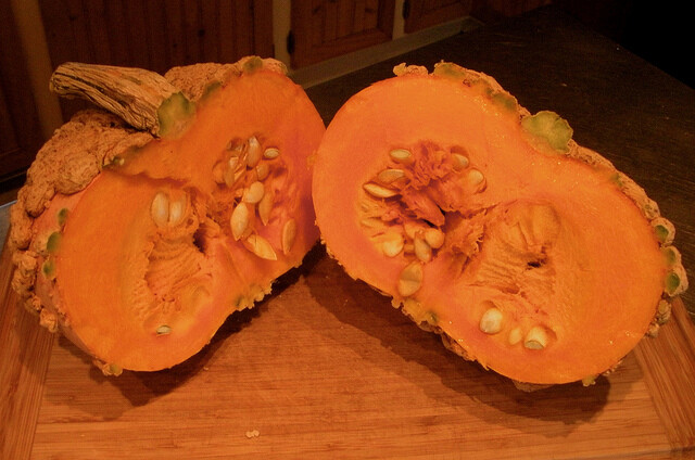 Peanut Pumpkin, D’ Eysines Squash, (Cucurbita maxima), Seeds