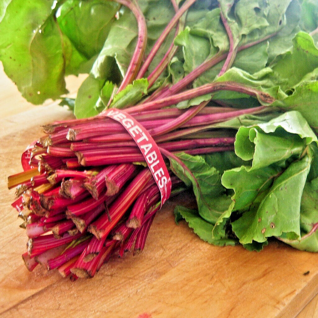 101+CHIOGGIA BEETS Seed Italian Heirloom Vegetable Garden Patio Container Easy