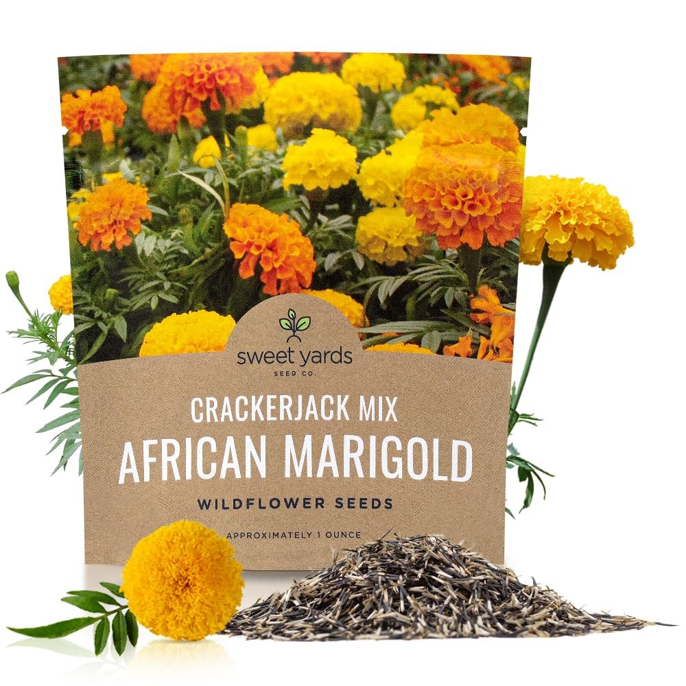 Sweet Yards African Marigold Seeds Mix 1 Ounce (Pack of 1), Orange