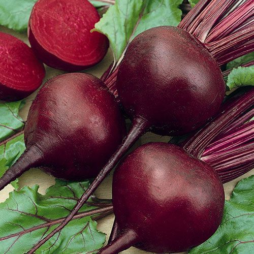 150+ Detroit Dark Red Beet Seeds- NON GMO- Open Pollinated-Organic