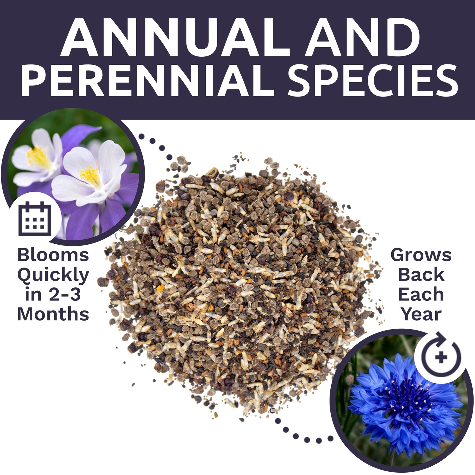 Wildflower Seeds Partial Shade Mix 1 Ounce 7000 Annual Perennial Planting