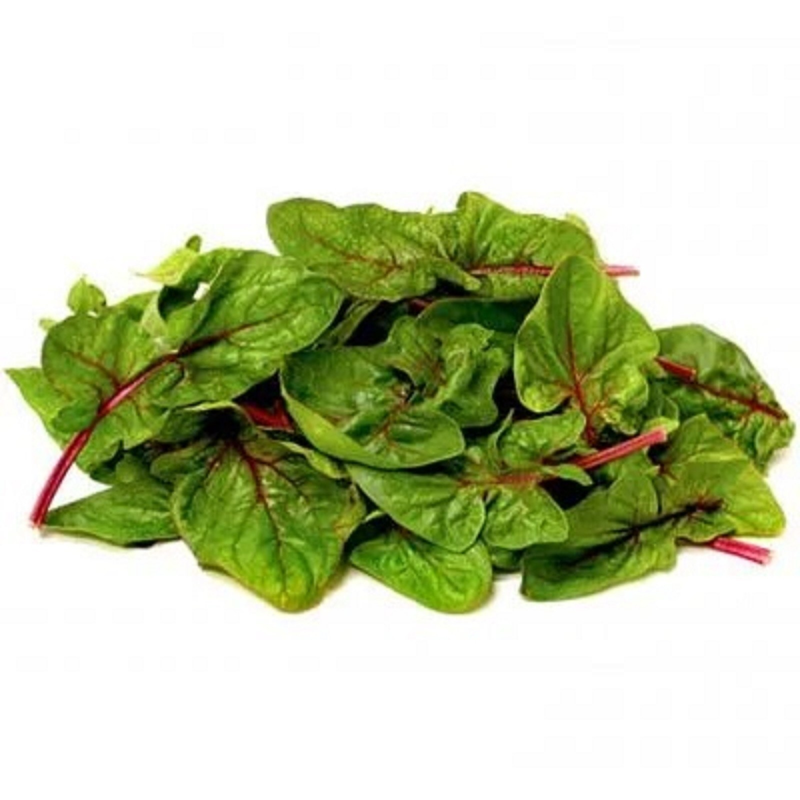 Red Stem Malabar Spinach Seeds Heat Tolerant, non bolting