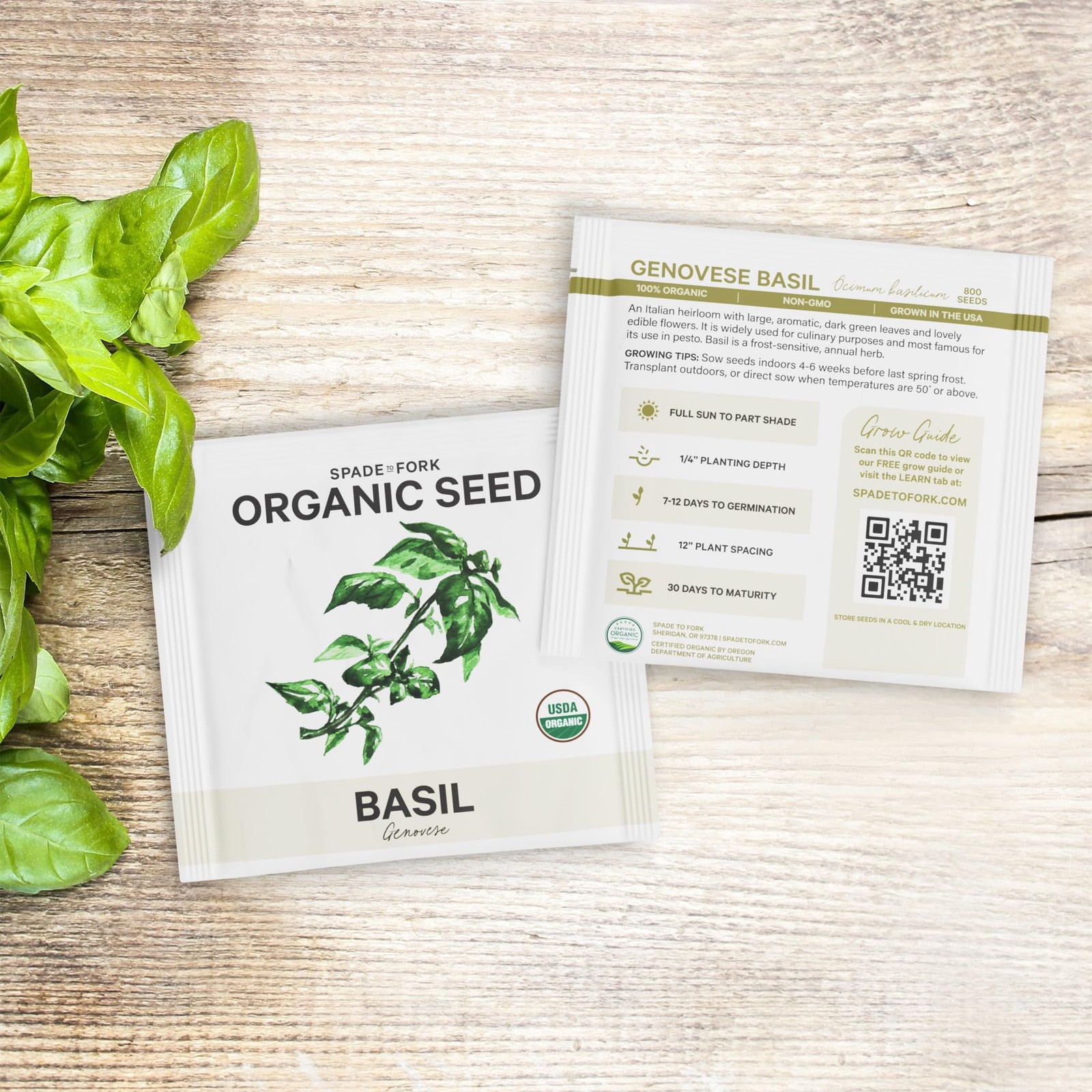 15 Certified Organic Herb Seeds Variety Pack (4X More) 10,000+ Non GMO Seeds …