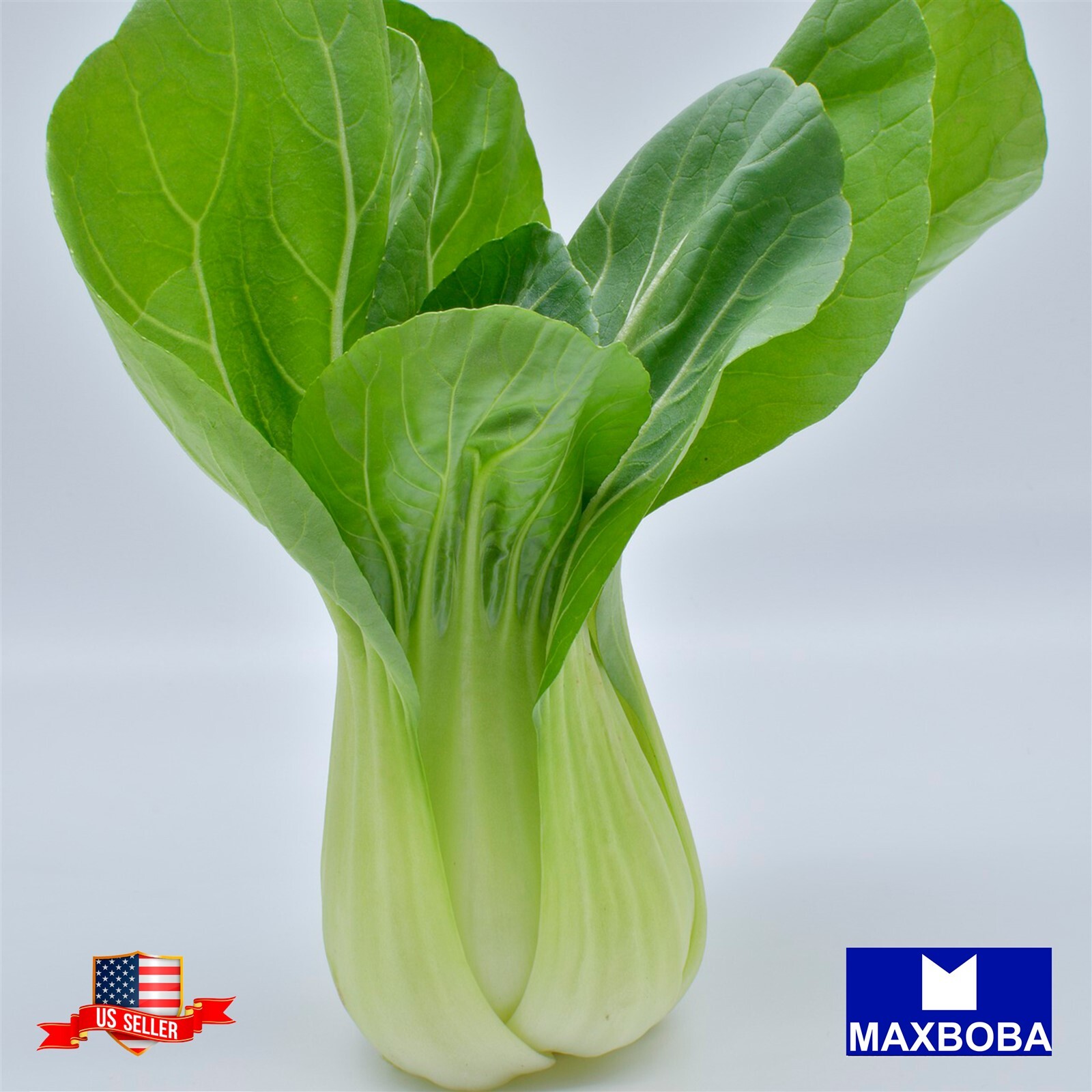 Cabbage Seeds Pak Choi White Stem Bok Choy Non-GMO / Heirloom / Vegetable Fresh
