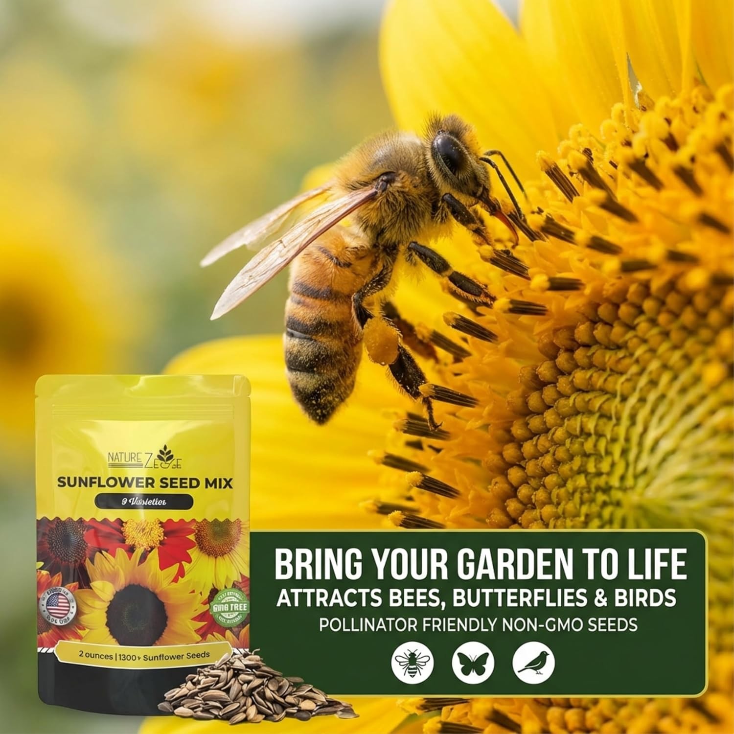 Bulk Garden Variety Sunflower Seeds Pack for Planting – 1300+ Seeds