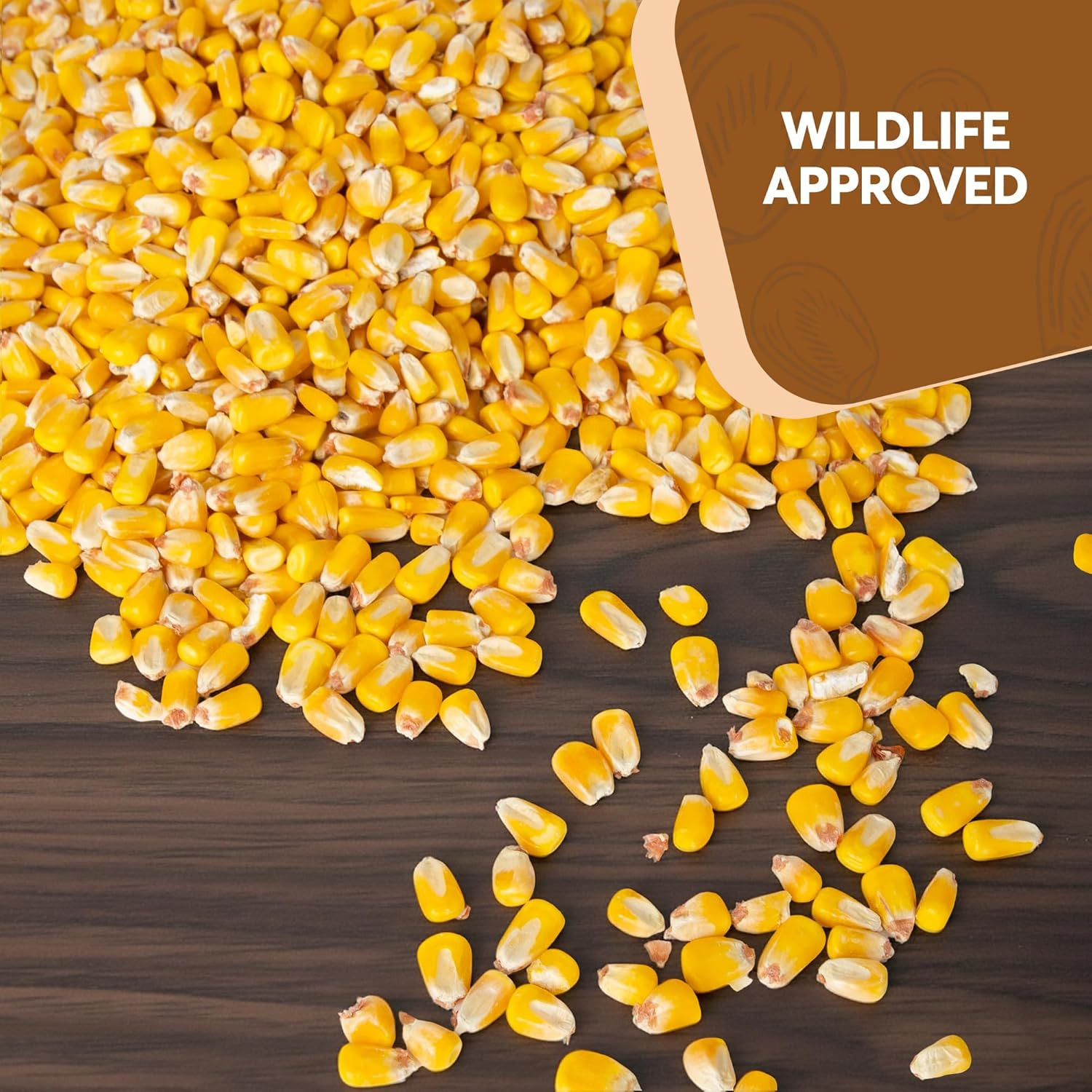 Whole Corn 10 LB– Premium Bird Seed & Wildlife Feed for Ducks, Deer, Squirrels,