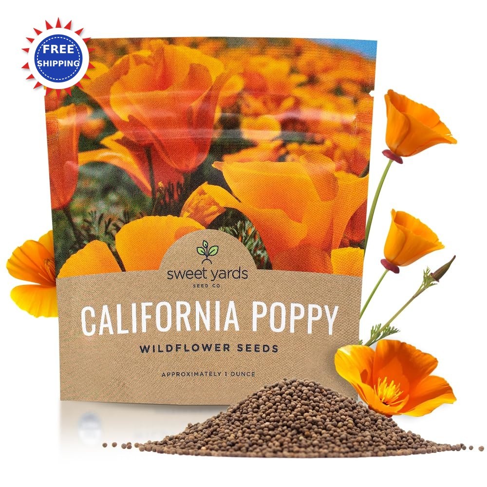 Wildflower Seeds California Orange Poppy 1 Ounce Packet Bulk Native State