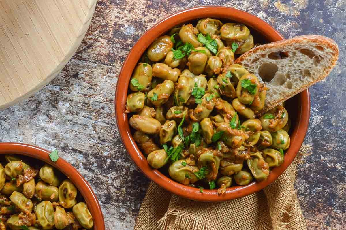Broad Windsor Fava Bean Seeds | Buttery Broad Beans Healthy Giant Faba Seed 2024
