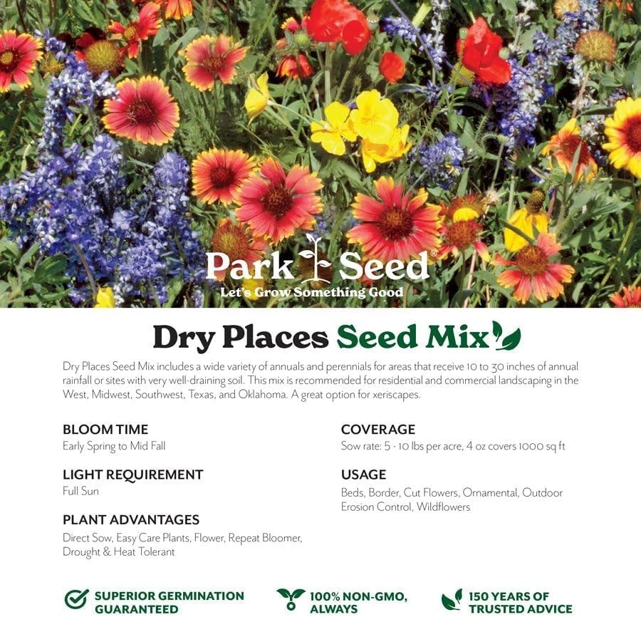 Annual & Perennial Wildflower Mix – 1/4 lb for Pollinators & Spring Blooms