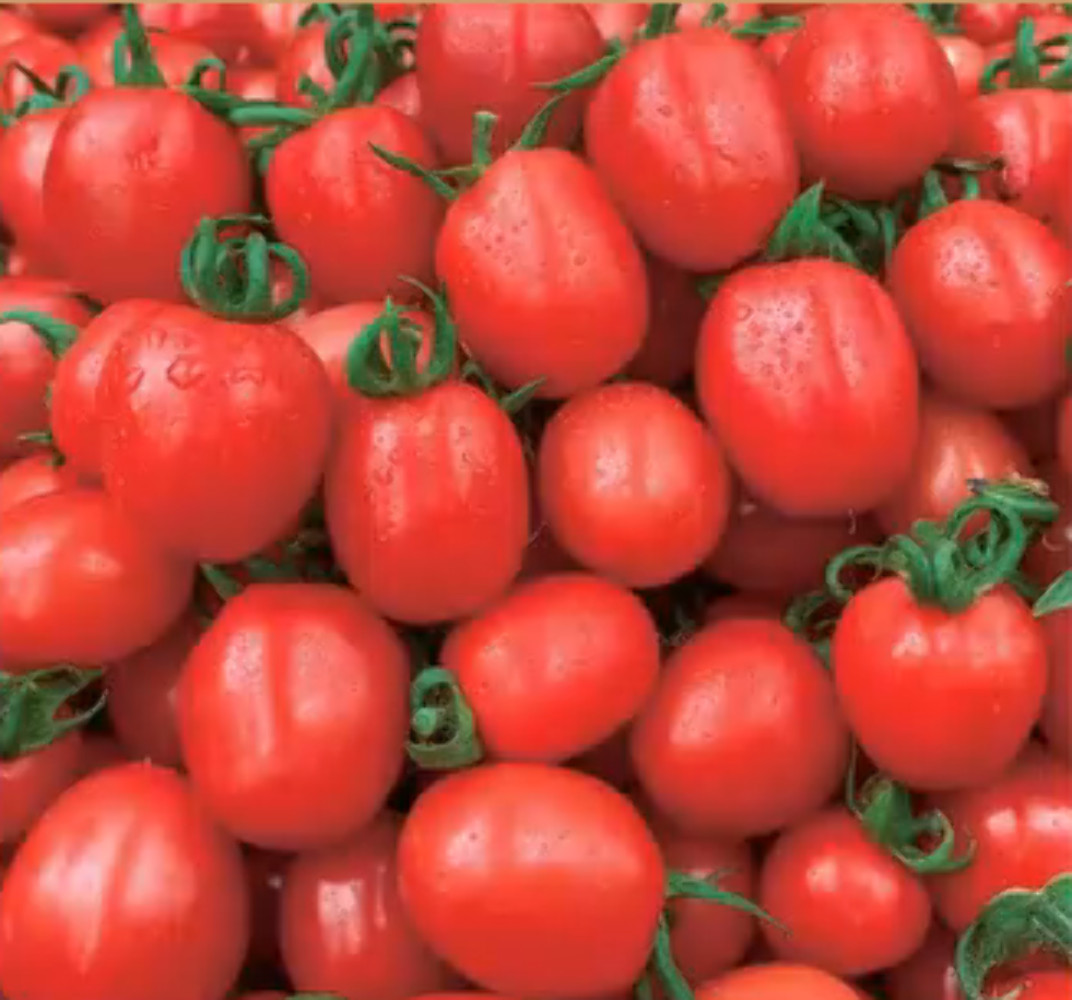 Super Sweet Pink Cherry Tomato Seeds 200+ Non-GMO Garden Snack Tomato