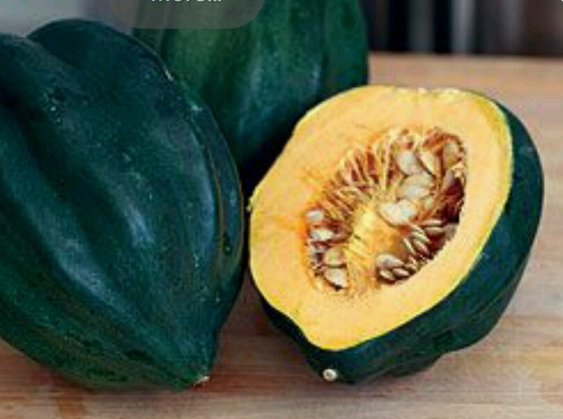 Acorn Squash-40 Seeds – Table King -Non GMO- Organic -Open Pollinated.