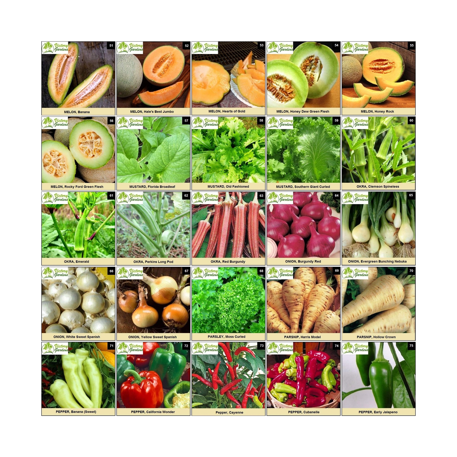 Garden Seeds Vegetable Variety Pack for Planting – Grow 125 Varieties of Heir…
