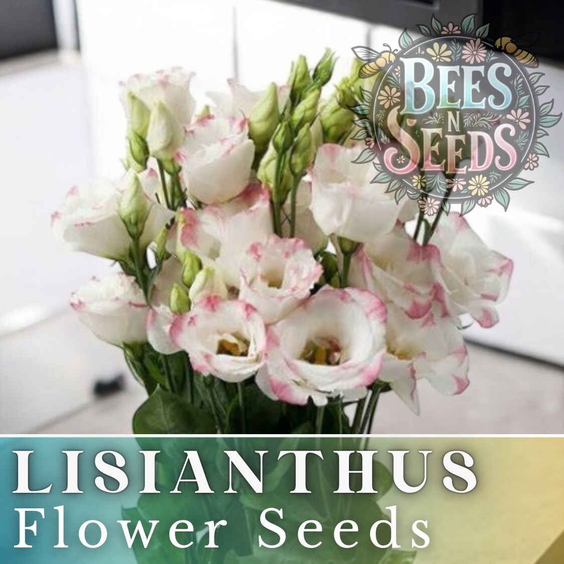 Sweet Muse Lisianthus Seeds – 125-5000 Seeds Flower Seed Non Gmo Heirloom