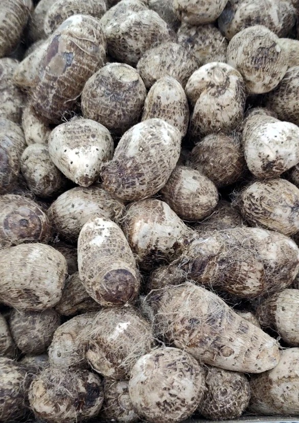Eddoes 3 To 4 Pounds Product Of Ecuador