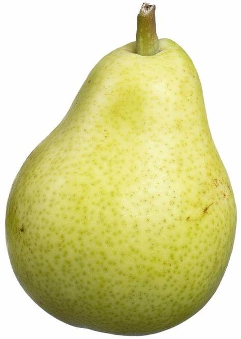 8 Bartlett Pear Tree Seeds