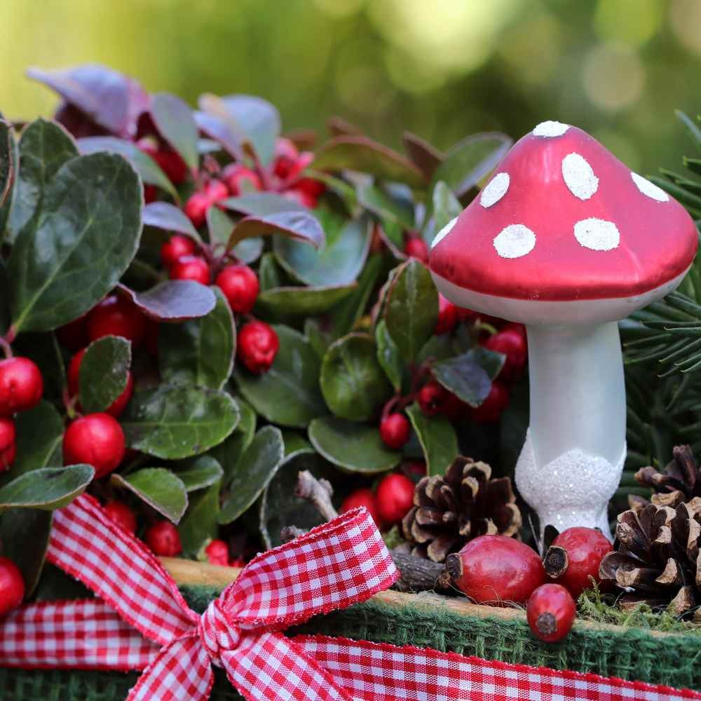 500 Seeds Wintergreen Seeds – Wintergreen Ground Cover Seed