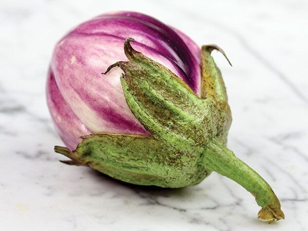 Eggplant Black Beauty/Organic Rosa Bianca/ Little Fingers eggplant/Patio Baby F1