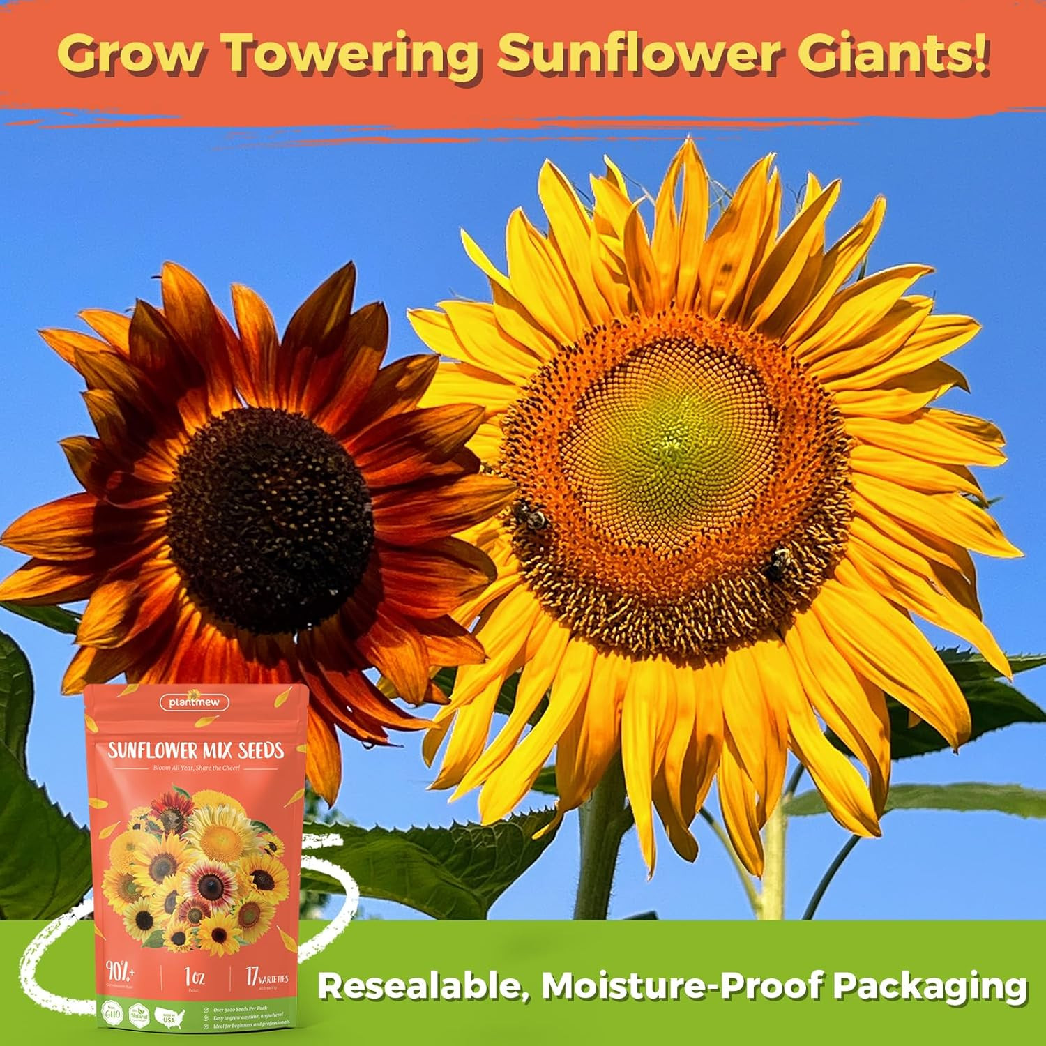 Sunflower Seeds for Planting | Giant Mammoth Sunflower Bulk Packet 3000+ Heirloo