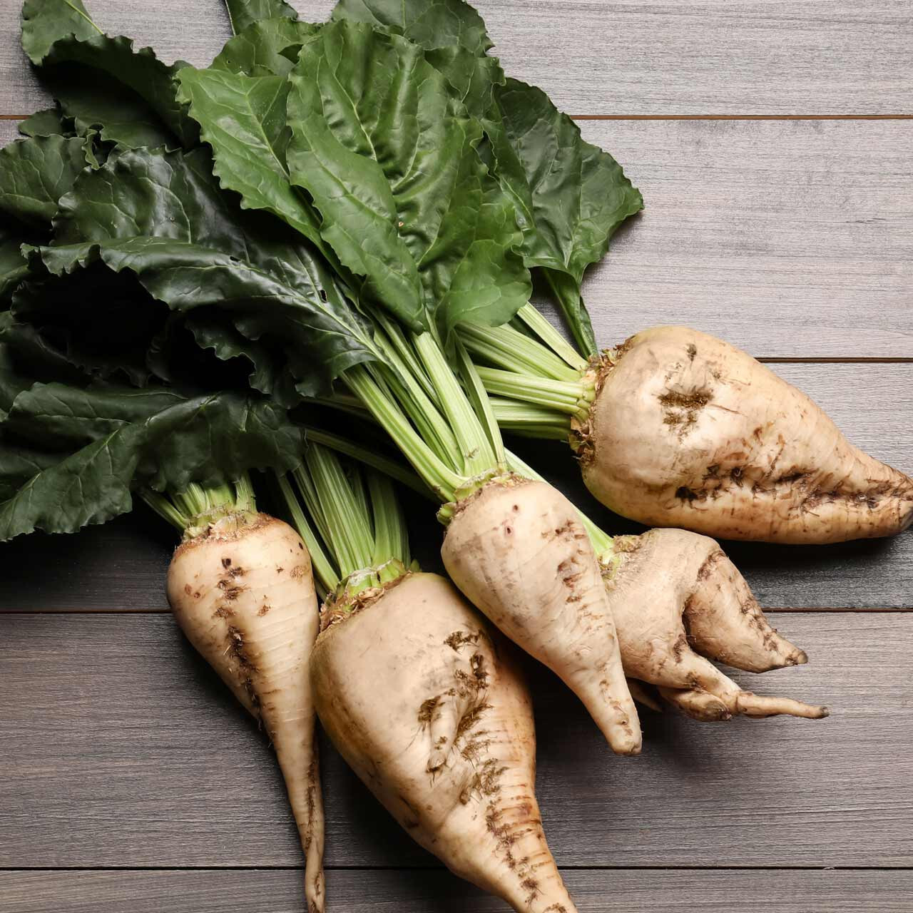SUGAR BEET 200 SEEDS FRESH FOR GARDENS TASTE VERY GOOD