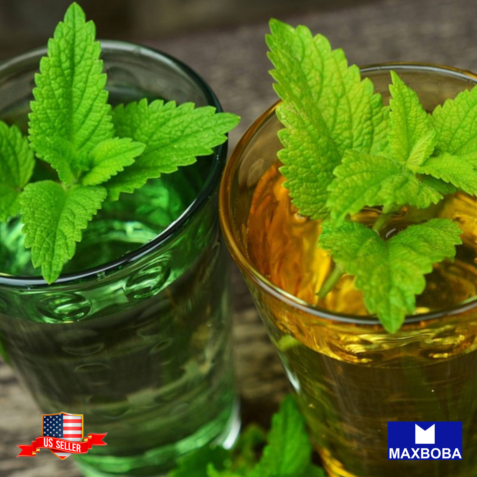 Lemon Balm Seeds Melissa Non-GMO / Heirloom / Mosquito Repellent Honey Plant