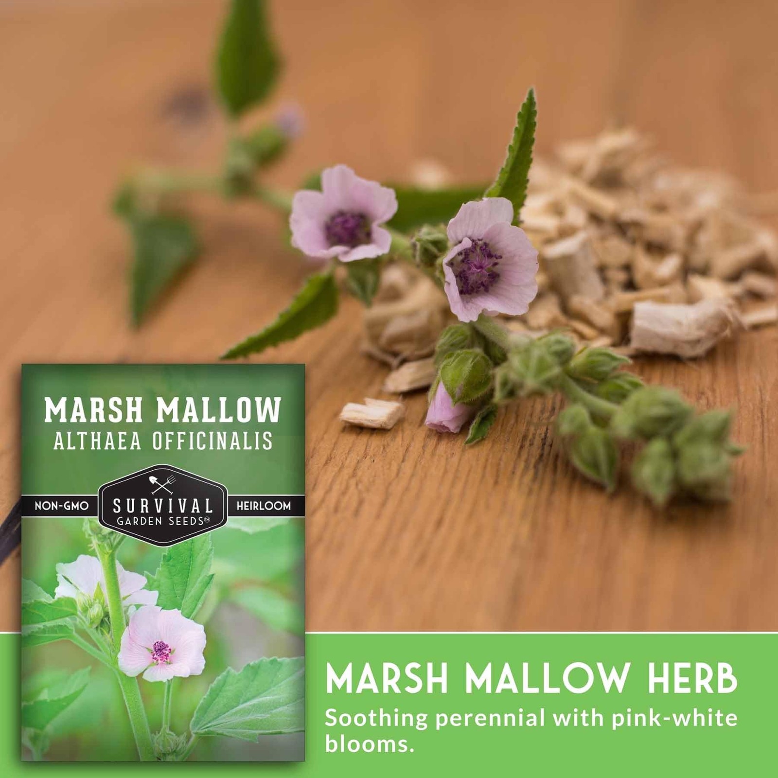 Marshmallow Seeds for Herb Garden – Non-GMO Medicinal Planting Kit (3 Pack)