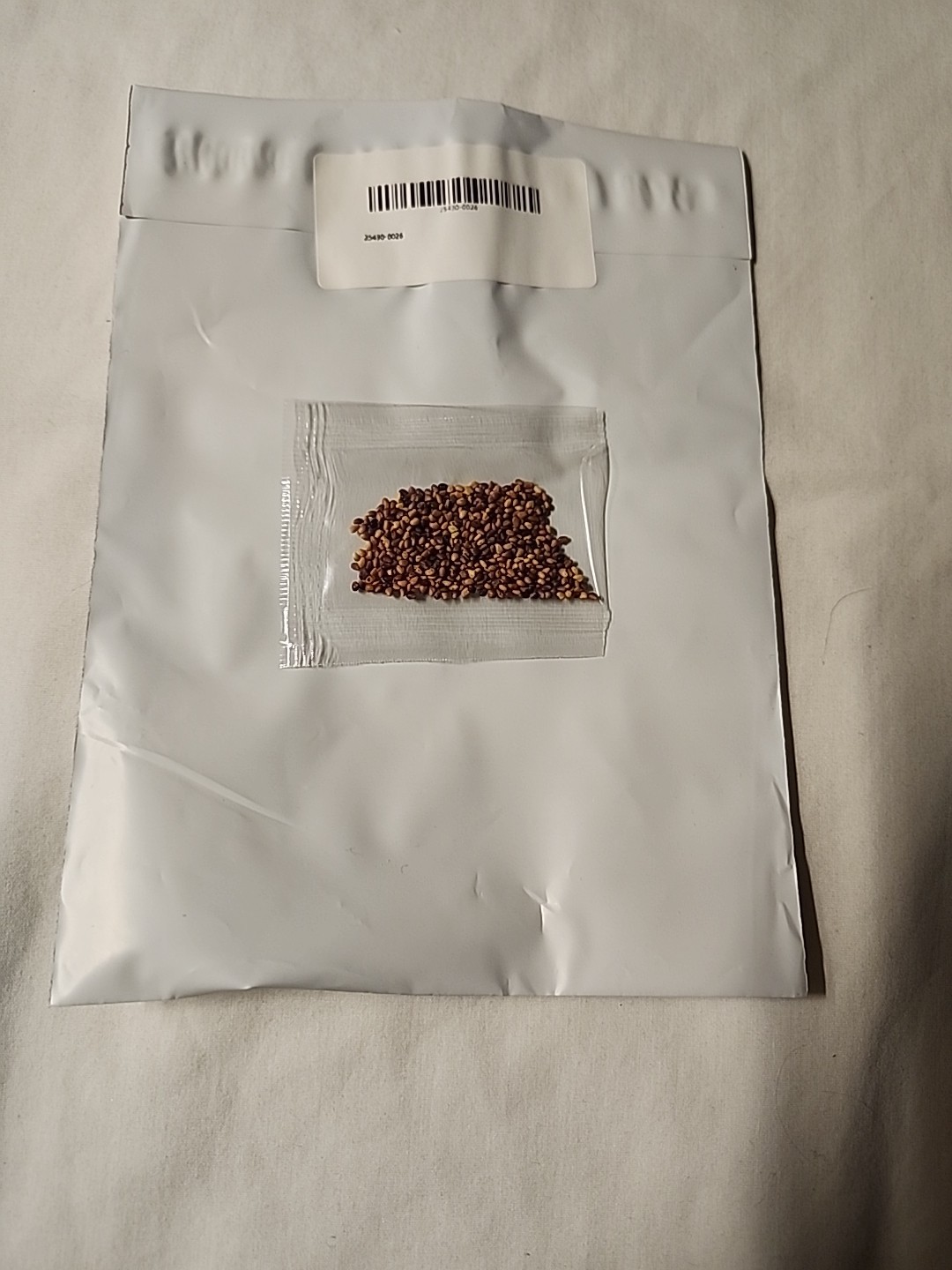 500 AUTHENTIC 4 LEAF CLOVER SEEDS